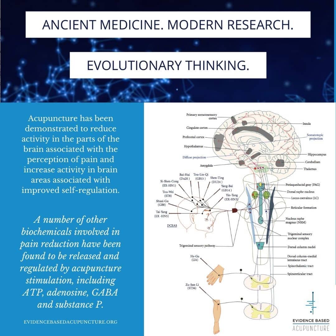 acu-ancient-med