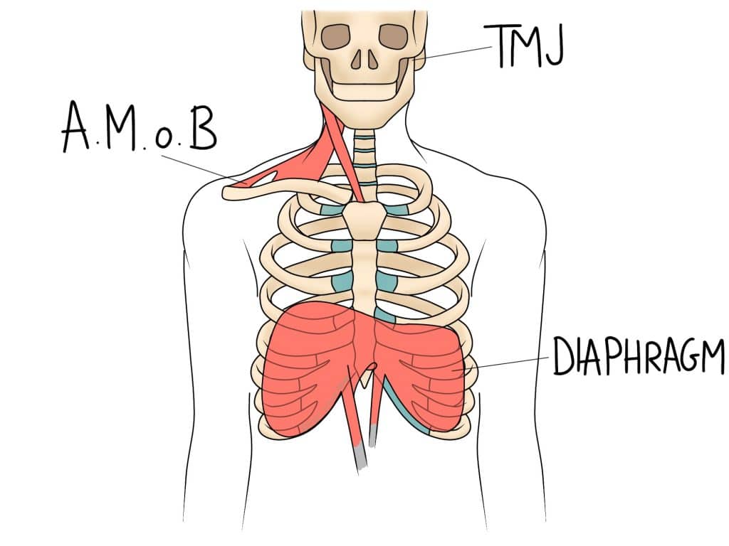 Examples of tension manifesting in the MSk system