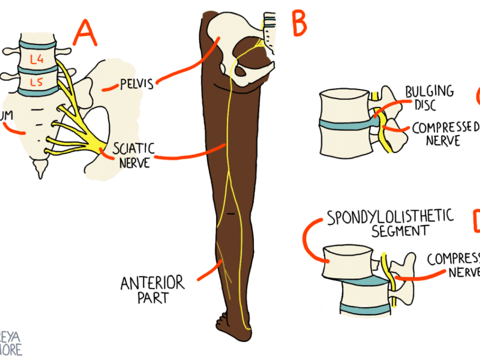 Mythbusting in Osteopathy