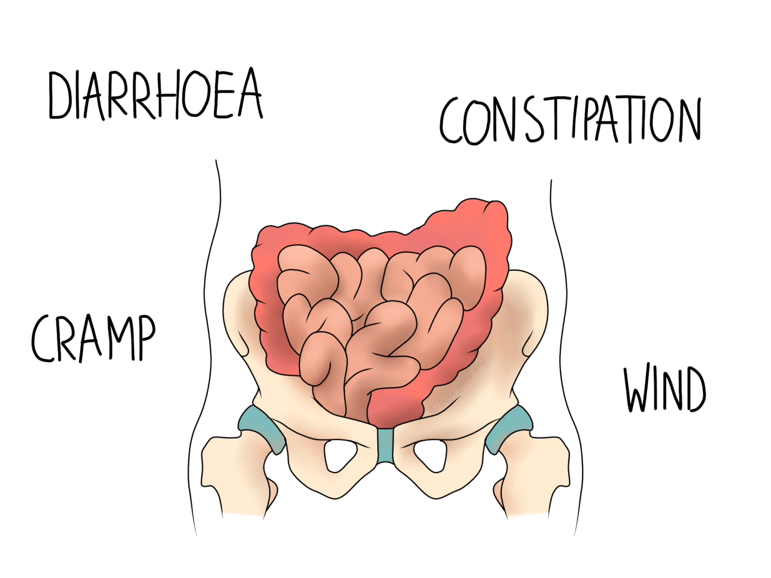 An anatomical illustration of intestines, bordered by words: "DIARRHOEA," "CONSTIPATION," "CRAMP," and "WIND," highlighting digestive issues.