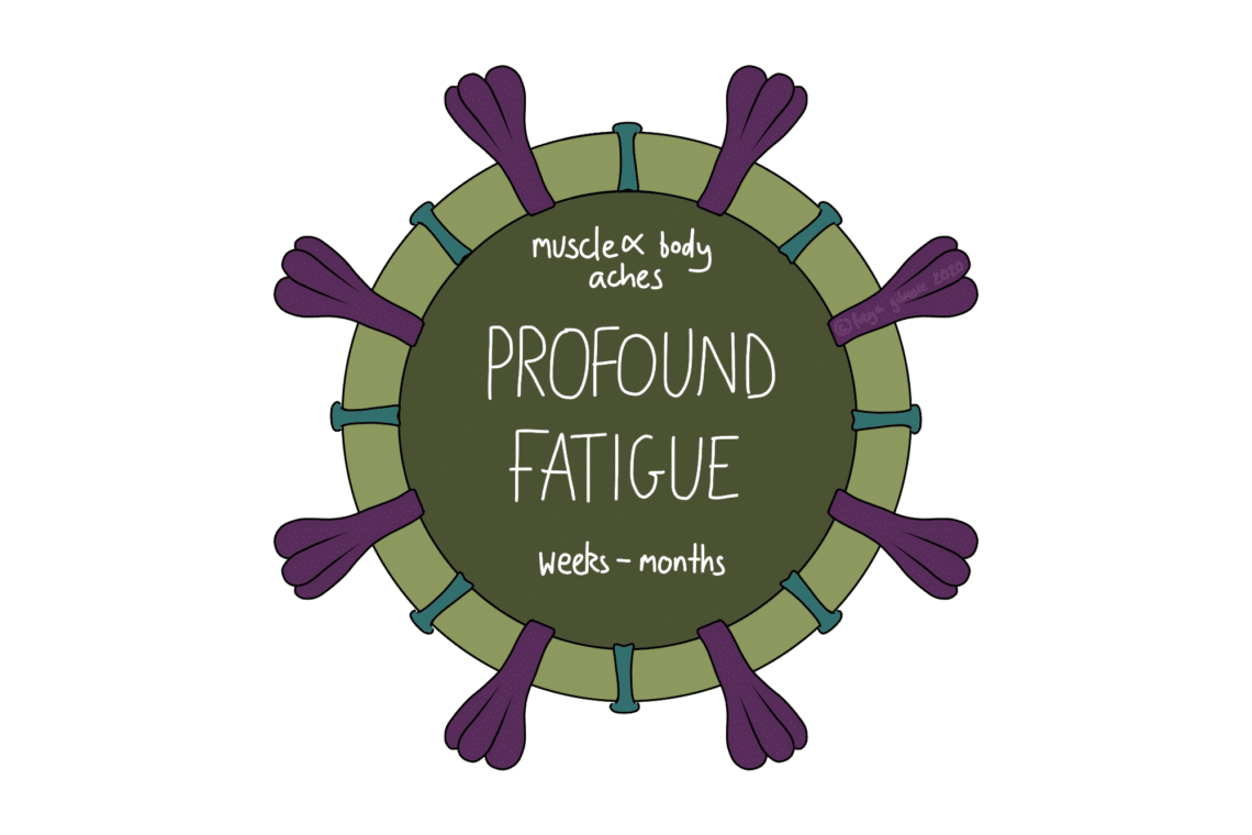 Virus-like illustration displaying symptoms: "muscle & body aches, PROFOUND FATIGUE, weeks - months." Central circular design with purple appendages, text within.