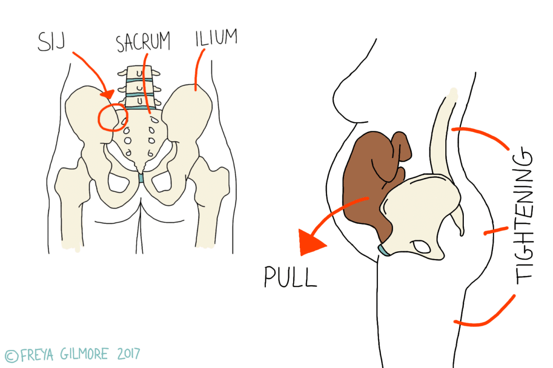 Pelvic anatomy illustration shows sacroiliac joint (SIJ), sacrum, and ilium. Arrows indicate pelvic movement: pulling action and muscle tightening. Labeled text includes "PULL," "TIGHTENING," "SIJ," "SACRUM," "ILIUM." ©FREYA GILMORE 2017.